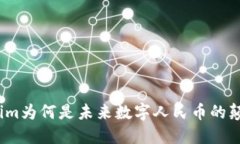 Tokenim为何是未来数字人民币的颠覆者？