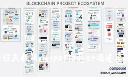 区块链时代的惊天挑战：Hyperledger难道要踏上发币之路？