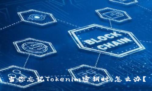 当你忘记Tokenim密钥时，怎么办？