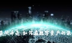 抹茶区块链交易所币壳：如何在数字资产的浪潮