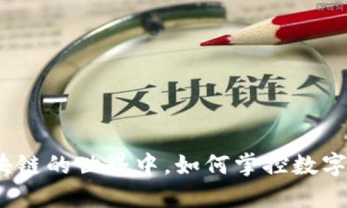在钛熙币区块链的世界中，如何掌控数字资产的未来？