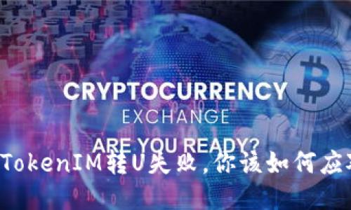 当TokenIM转U失败，你该如何应对？