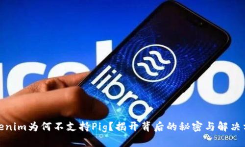 Tokenim为何不支持Pig？揭开背后的秘密与解决方案