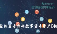 如何使用Tokenim轻松查看你的数字货币资产？挑战