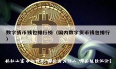 揭秘山寨币的世界：哪些实力惊人，哪些继续沉