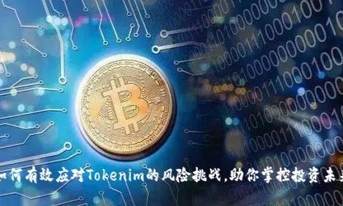 如何有效应对Tokenim的风险挑战，助你掌控投资未来