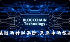 揭开区块链的神秘面纱：天正币的崛起与挑战