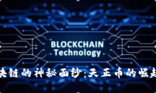 揭开区块链的神秘面纱：天正币的崛起与挑战