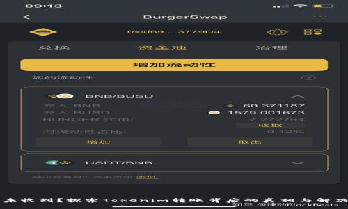 转账未收到？探索Tokenim转账背后的真相与解决方案