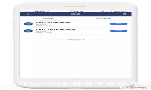 火币交易所：Tokenim支持的可能性与投资者机遇
