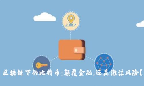 区块链下的比特币：颠覆金融，还是泡沫风险？