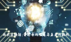 北大区块链：雷达币的崛起与未来的挑战