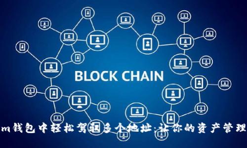 在Tokenim钱包中轻松驾驭多个地址：让你的资产管理不再烦恼