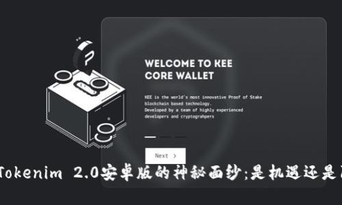 破解Tokenim 2.0安卓版的神秘面纱：是机遇还是陷阱？
