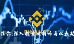 别让误解拖住你：深入探索比特币与以太坊的真