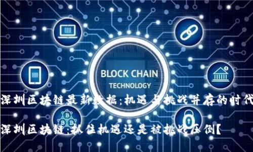 深圳区块链最新数据：机遇与挑战并存的时代

深圳区块链：抓住机遇还是被挑战压倒？