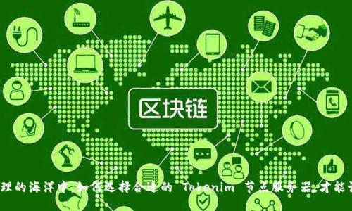 在数字资产管理的海洋中，如何选择合适的 Tokenim 节点服务器，才能让你无忧无虑？