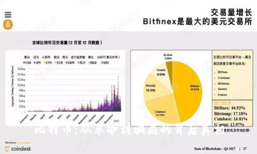 比特币：从革命到骗局的背后真相