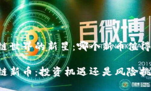 区块链世界的新星：哪个新币值得关注？

区块链新币：投资机遇还是风险挑战？