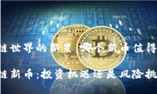 区块链世界的新星：哪个新币值得关注？

区块链新币：投资机遇还是风险挑战？