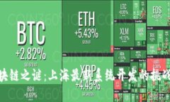 破解区块链之谜：上海最新系统开发的挑战与机