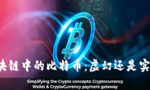 区块链中的比特币：虚幻还是实在？