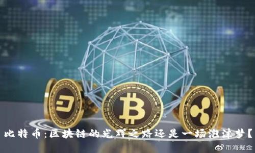 比特币：区块链的光辉之路还是一场泡沫梦？