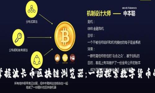 轻松掌握波长币区块链浏览器：一场探索数字货币的旅程