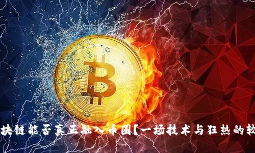 区块链能否真正融入币圈？一场技术与狂热的较量