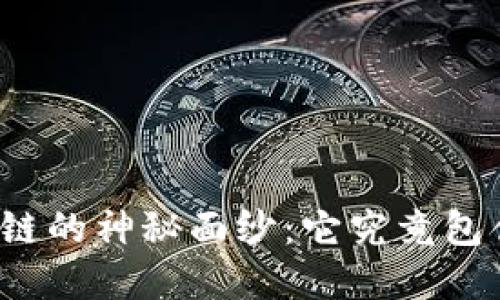 揭开比特币区块链的神秘面纱：它究竟包含哪些重要字段？