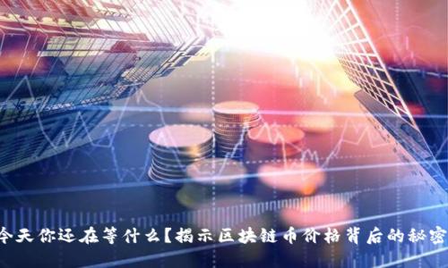 今天你还在等什么？揭示区块链币价格背后的秘密！