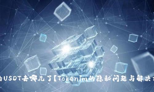你的USDT去哪儿了？Tokenim的隐秘问题与解决方案
