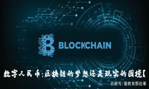 数字人民币：区块链的梦想还是现实的困境？