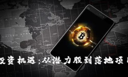 把握中国区块链投资机遇：从潜力股到落地项目，你准备好了吗？