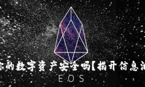 TokenIM：你的数字资产安全吗？揭开信息泄露的真相！