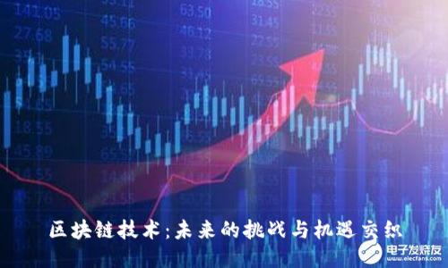 区块链技术：未来的挑战与机遇交织