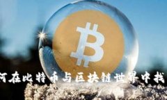 加入币圈：如何在比特币与区块链世界中找到你