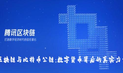 区块链与比特币公链：数字货币背后的真实力量