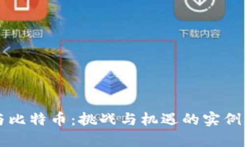 区块链与比特币：挑战与机遇的实例深度剖析