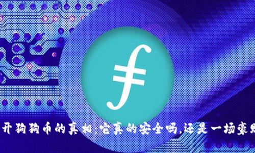 揭开狗狗币的真相：它真的安全吗，还是一场豪赌？