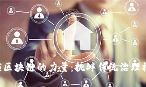 解锁区块链的力量：挑衅传统治理模式!