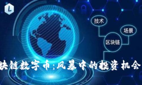 解密区块链数字币：风暴中的投资机会与陷阱!
