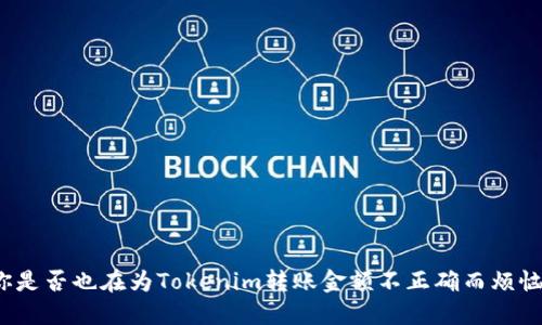 你是否也在为Tokenim转账金额不正确而烦恼？