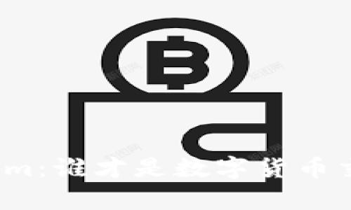 火币网与Tokenim：谁才是数字货币交易的真正王者？