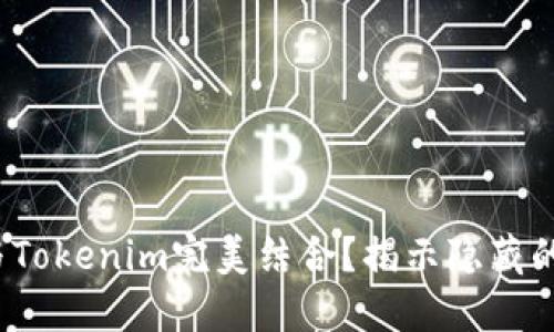 ADA币如何与Tokenim完美结合？揭示隐藏的潜力和机遇!