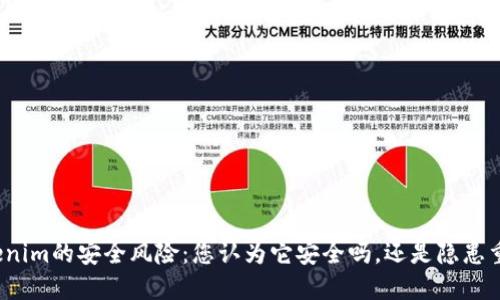 Tokenim的安全风险：您认为它安全吗，还是隐患重重？