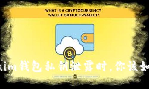 当你的Tokenim钱包私钥泄露时，你该如何挽回损失？