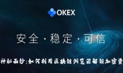 揭开达世币的神秘面纱：如何利用区块链浏览器