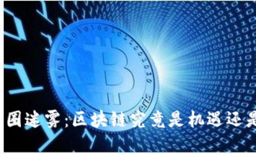 揭开币圈迷雾：区块链究竟是机遇还是危险？