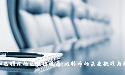 揭秘巴曙松的区块链视角：比特币的未来挑战与机遇